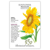 Sunflower Mammoth Seeds - Southern Agriculture 