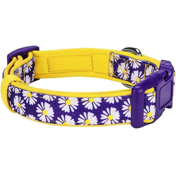 Blueberry Pet - Daisy | Neoprene Padded Dog Collar