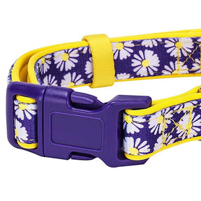 Blueberry Pet - Daisy | Neoprene Padded Dog Collar