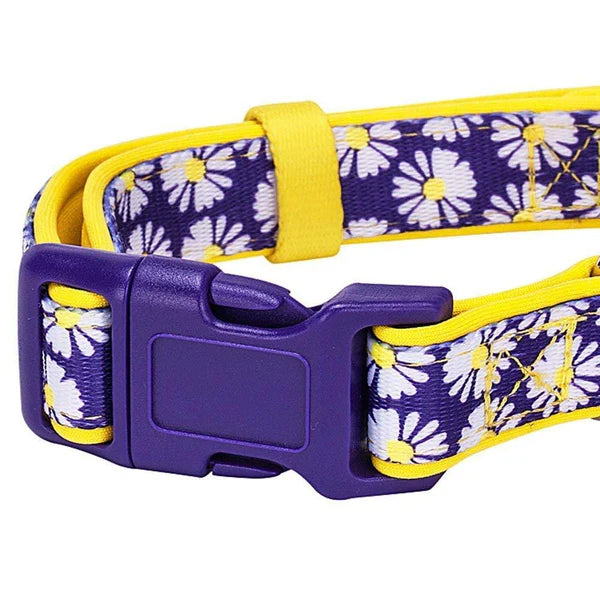 Blueberry Pet - Daisy | Neoprene Padded Dog Collar