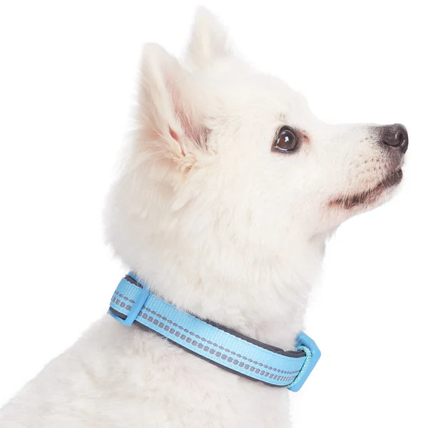 Blueberry Pet - Baby Blue | 3M Reflective Padded Dog Collar