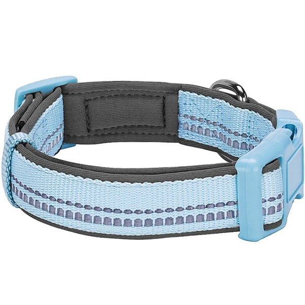 Blueberry Pet - Baby Blue | 3M Reflective Padded Dog Collar