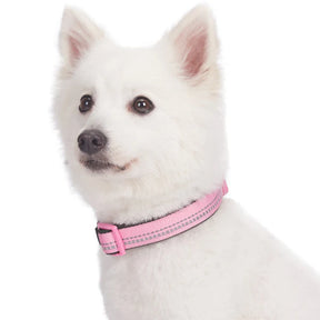 Blueberry Pet - Baby Pink | 3M Reflective Padded Dog Collar