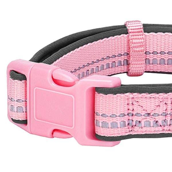 Blueberry Pet - Baby Pink | 3M Reflective Padded Dog Collar