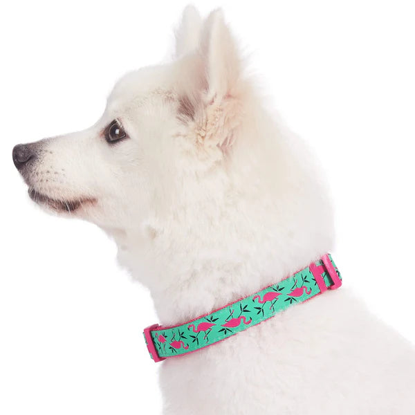 Blueberry Pet - Pink Flamingo | Summer Vacation Dog Collar