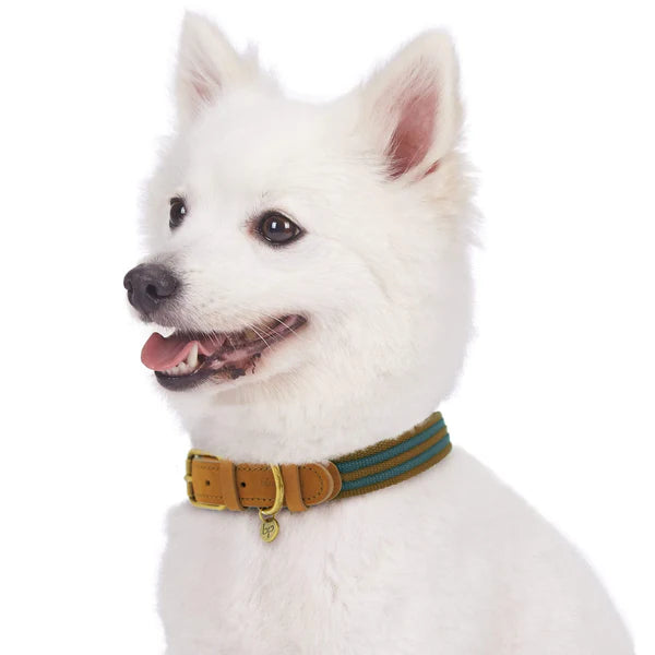 Blueberry Pet - Navy & Olive | Full Grain Leather & Polyester Dog Collar