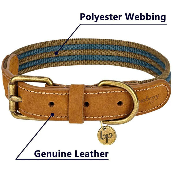 Blueberry Pet - Navy & Olive | Full Grain Leather & Polyester Dog Collar