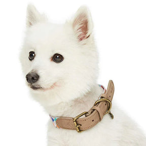 Blueberry Pet - Triangles Shades of Rainbow | Full Grain Leather & Polyester Webbing Dog Collar