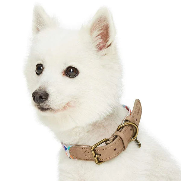 Blueberry Pet - Triangles Shades of Rainbow | Full Grain Leather & Polyester Webbing Dog Collar