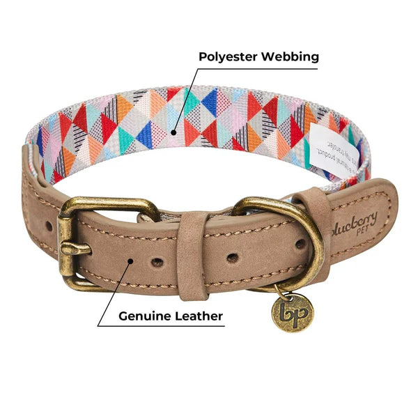 Blueberry Pet - Triangles Shades of Rainbow | Full Grain Leather & Polyester Webbing Dog Collar