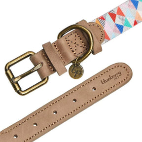 Blueberry Pet - Triangles Shades of Rainbow | Full Grain Leather & Polyester Webbing Dog Collar