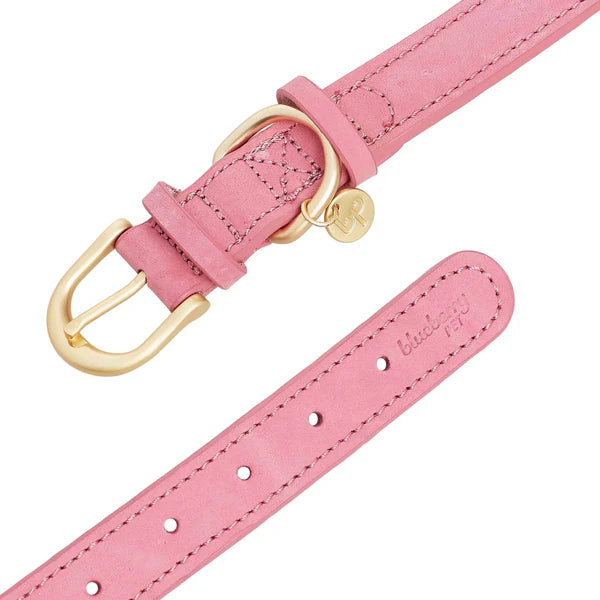 Blueberry Pet - Pink | Full Grain Leather Dog Collar