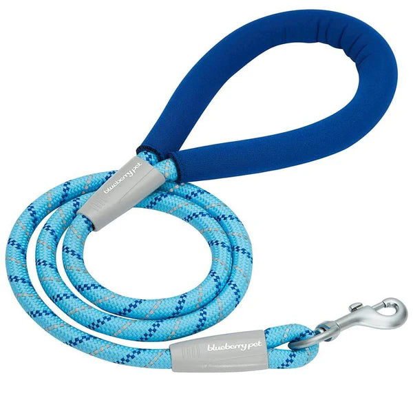 Blueberry Pet - Neoprene Handle Rope Dog Leash in Diagonal Stripe
