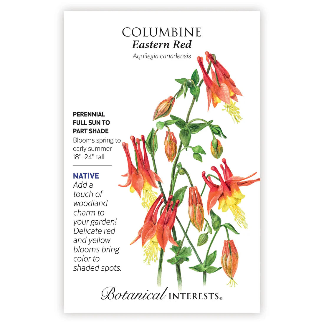 Botanical Interests, Inc. - Columbine Eastern Red Seeds - Southern Agriculture 