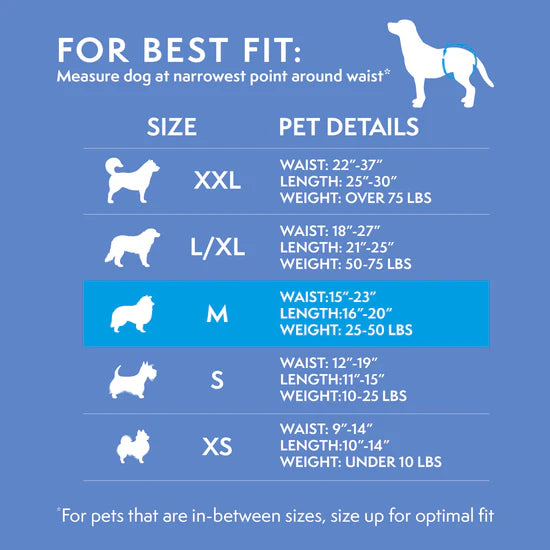 Disposable Dog Diapers 12 packs