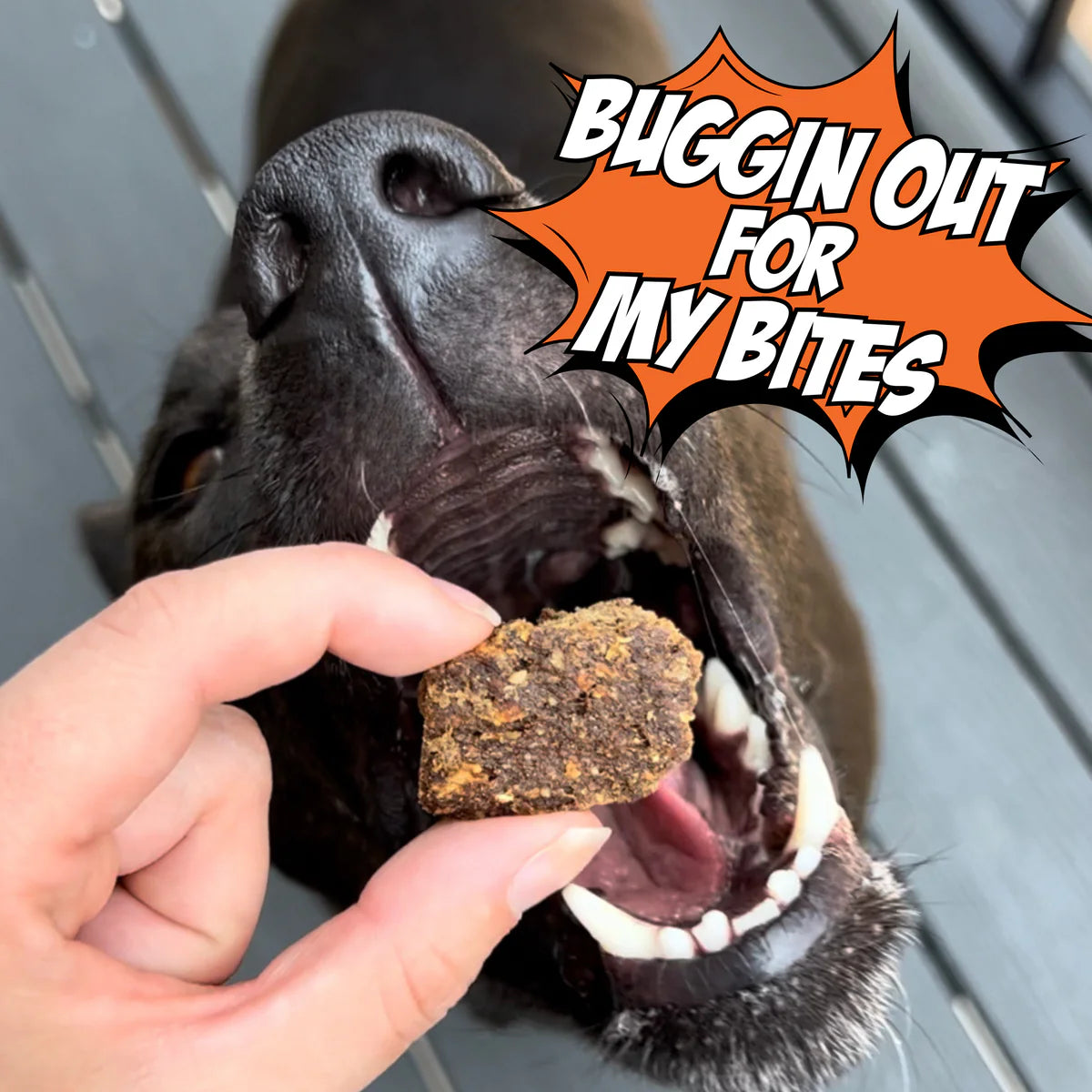 Chippin - Chirpy Jerky	Cricket Sweet Potato Carrot