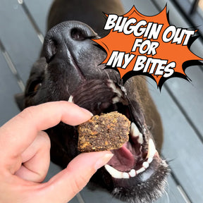 Chippin - Chirpy Jerky	Cricket Sweet Potato Carrot