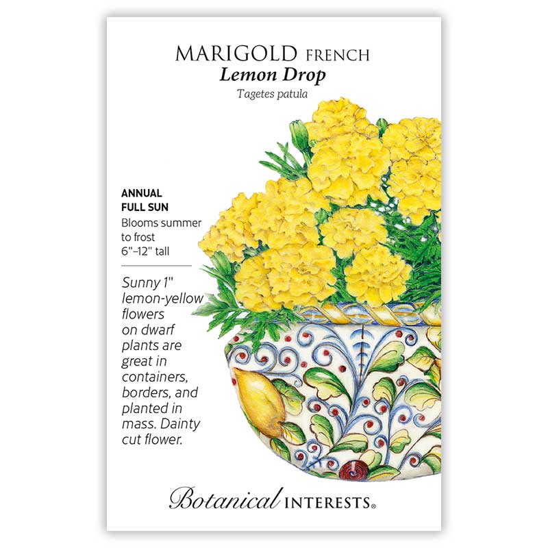 Botanical Interests, Inc. - Marigold French Lemon Drop Seeds - Southern Agriculture 