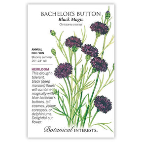 Botanical Interests, Inc. - Black Magic Bachelor's Button Seeds - Southern Agriculture 