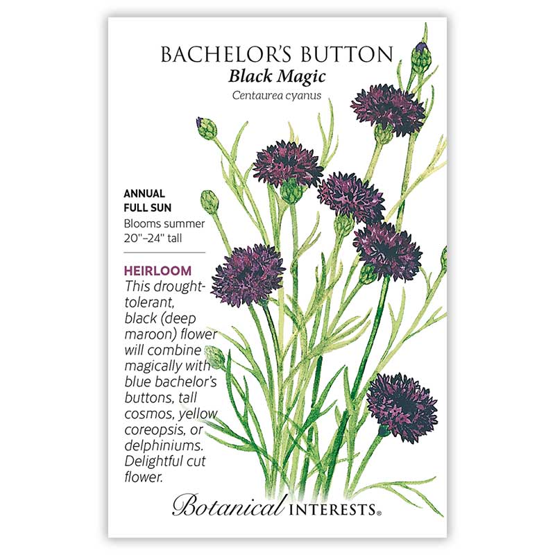 Botanical Interests, Inc. - Black Magic Bachelor's Button Seeds - Southern Agriculture 