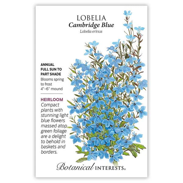 Botanical Interests, Inc. - Lobelia Cambridge Blue Seeds - Southern Agriculture 