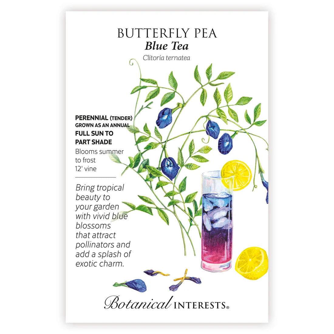 Botanical Interests, Inc. - Butterfly Pea Blue Tea Seeds - Southern Agriculture 