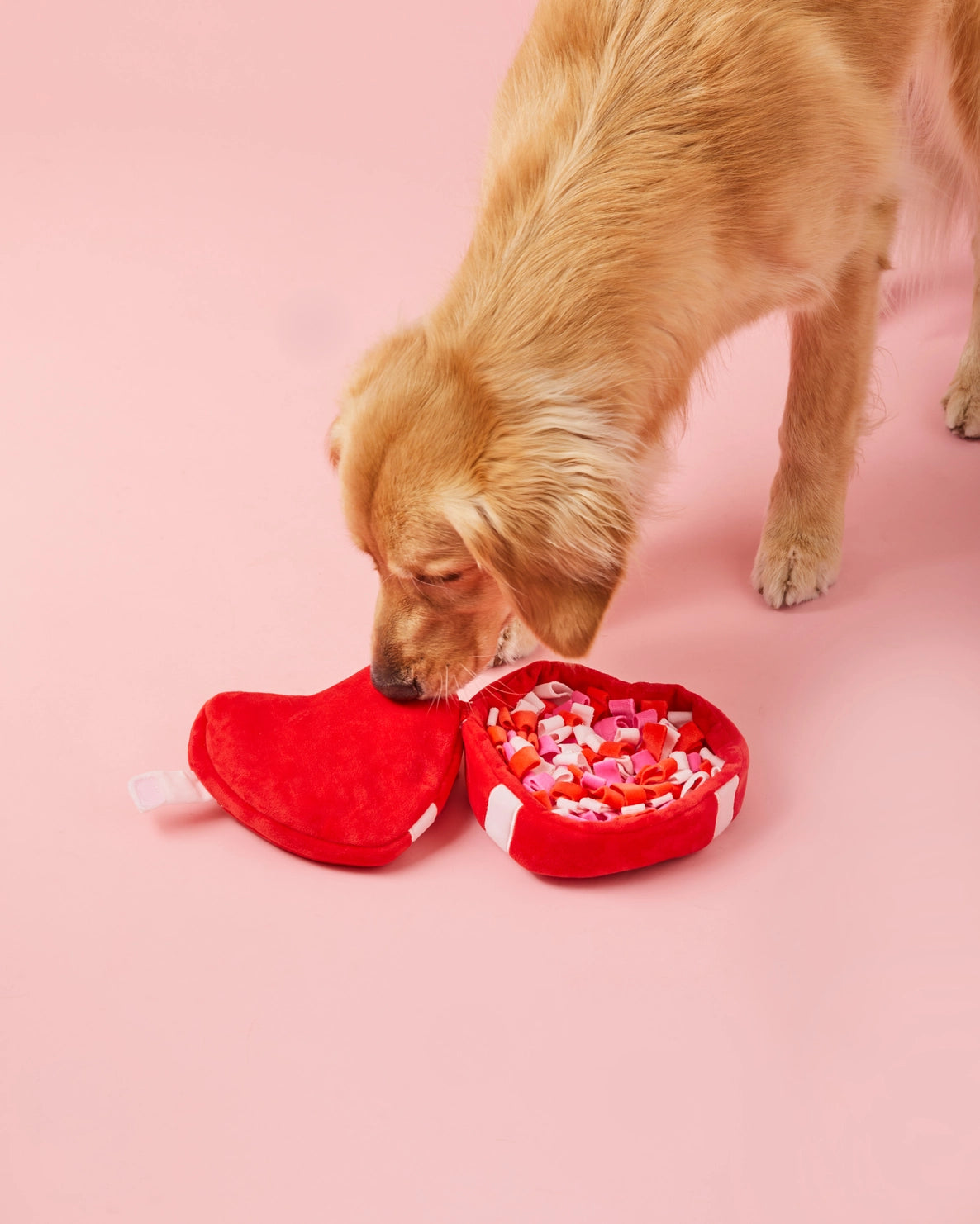 The Foggy Dog - Dog Toy Be My Valentine Interactive Snuffle Heart Box - Southern Agriculture 