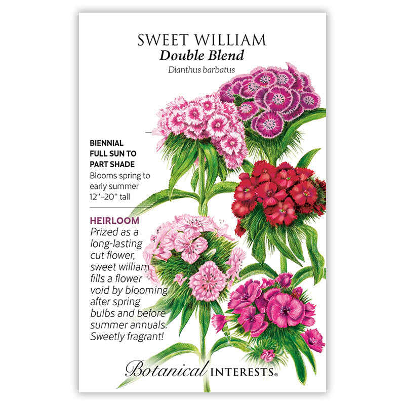 Botanical Interests, Inc. - Double Blend Sweet William Seeds