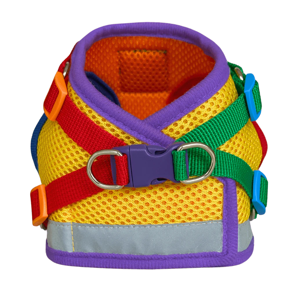 Travel Cat - Harness & Leash Set - "The Rainbow"