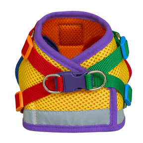 Travel Cat - Harness & Leash Set - "The Rainbow"