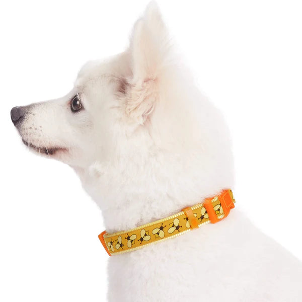 Blueberry Pet - Bumble Bee | Summer Vacation Dog Collar