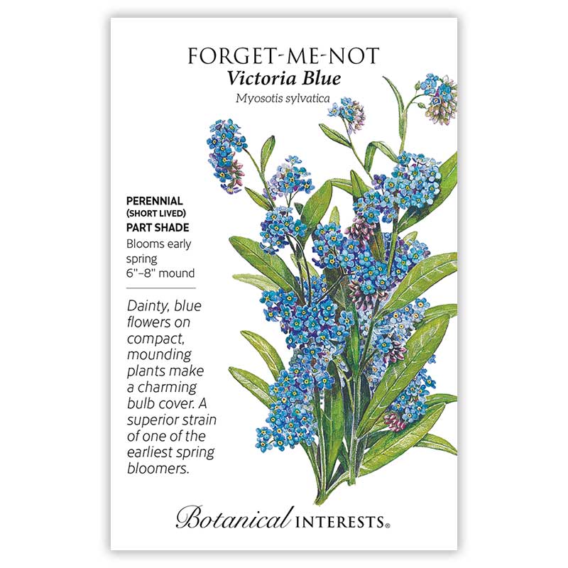 Botanical Interests, Inc. - Victoria Blue Forget-Me-Not Seeds