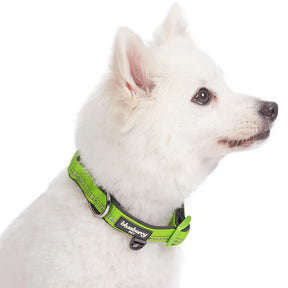 Blueberry Pet - Green Flash | 3M Reflective Neoprene Padded Dog Collar