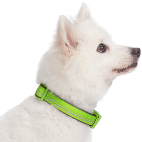 Blueberry Pet - Green Flash | 3M Reflective Neoprene Padded Dog Collar