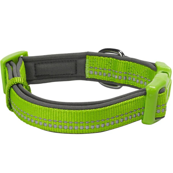 Blueberry Pet - Green Flash | 3M Reflective Neoprene Padded Dog Collar