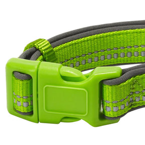 Blueberry Pet - Green Flash | 3M Reflective Neoprene Padded Dog Collar