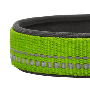 Blueberry Pet - Green Flash | 3M Reflective Neoprene Padded Dog Collar