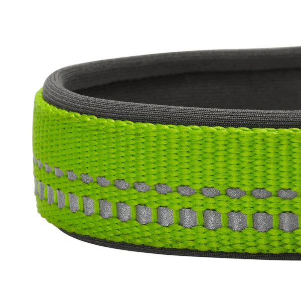Blueberry Pet - Green Flash | 3M Reflective Neoprene Padded Dog Collar