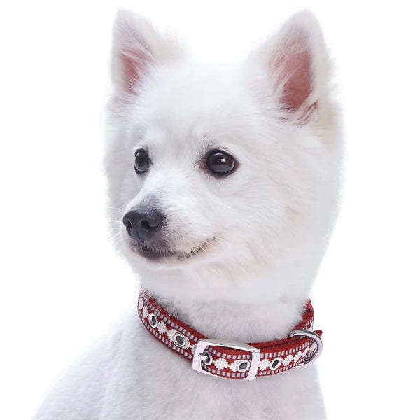 Blueberry Pet - Blueberry Pet - Dog Collar Soft 3M Reflective