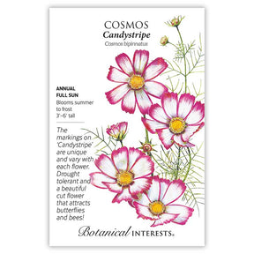 Botanical Interests, Inc. - Candy Stripe Cosmos Seeds