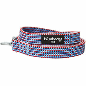 Blueberry Pet - Multicolor Braids Dog Leash