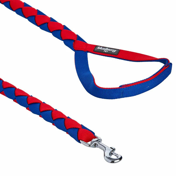 Blueberry Pet - Iconic Hand Braided Double-weave Dog Rope Leash