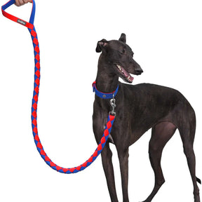 Blueberry Pet - Iconic Hand Braided Double-weave Dog Rope Leash