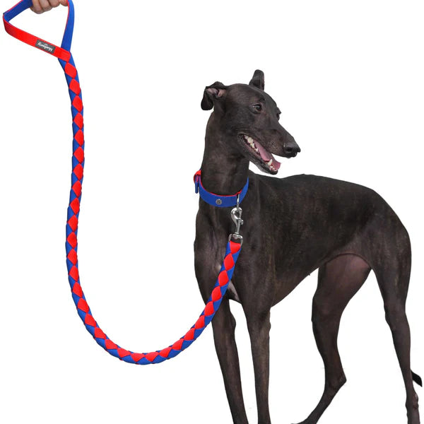 Blueberry Pet - Iconic Hand Braided Double-weave Dog Rope Leash