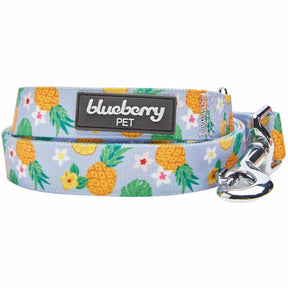 Blueberry Pet - Nutritious Pineapple | Zesty Fruit Dog Leash