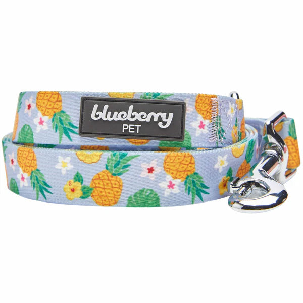 Blueberry Pet - Nutritious Pineapple | Zesty Fruit Dog Leash