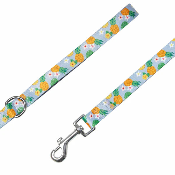 Blueberry Pet - Nutritious Pineapple | Zesty Fruit Dog Leash