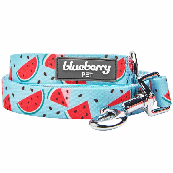 Blueberry Pet - Slices of Watermelon | Zesty Fruit Dog Leash