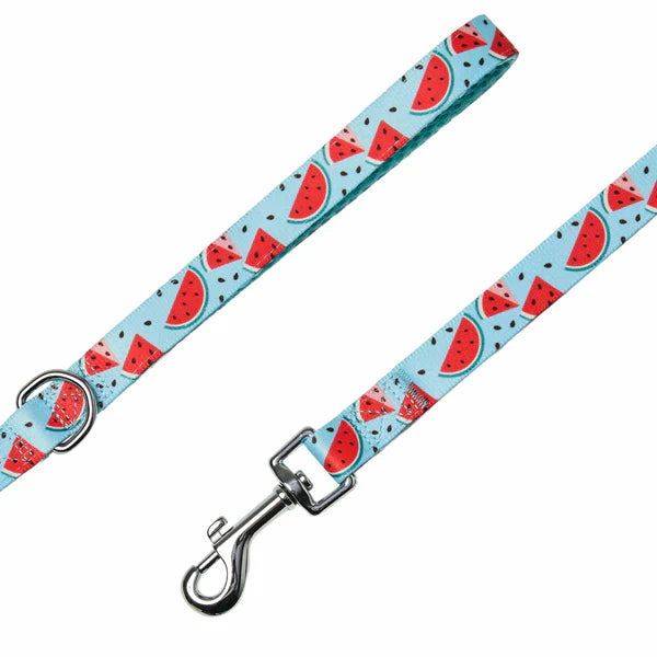 Blueberry Pet - Slices of Watermelon | Zesty Fruit Dog Leash