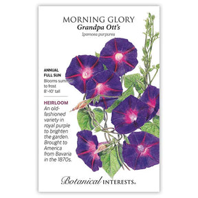 Botanical Interests, Inc. - Morning Glory Grandpa Otis Seeds - Southern Agriculture 